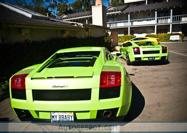 Hippe kentekens deel 15