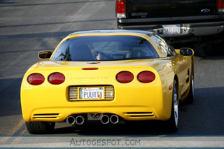 Hippe kentekens deel 16