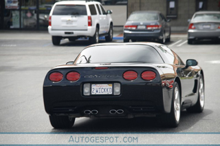 Hippe kentekens deel 16