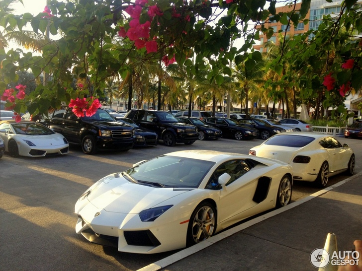 Le paradis des voitures exclusives, c'est à Miami !