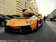 Owner ties his teddy bear on the roof of his Lamborghini