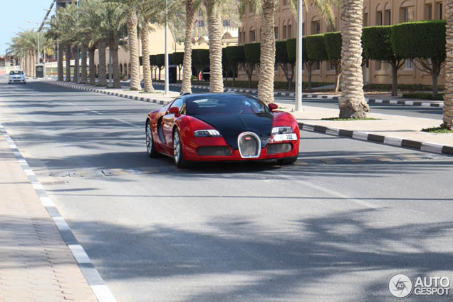Rood-zwarte Veyron lacht lief in de camera in Doha