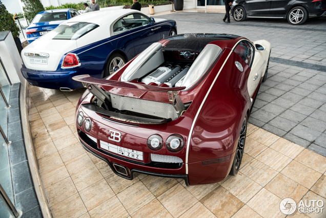 Bugatti Veyron blijkt een echt reismaatje te zijn
