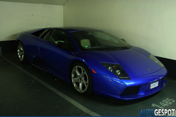 Spot van de dag: fraai gekleurde Lamborghini Murciélago