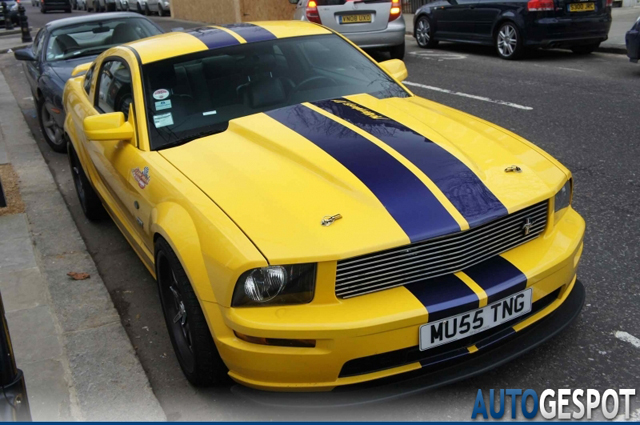 Hippe kentekens deel 29