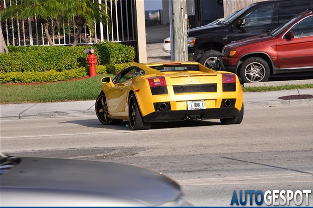 Hippe kentekens deel 29