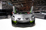Ginevra 2014: Hamann Nervudo