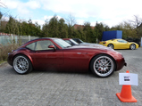 Event: Wiesmann Frühlingsfest 2015
