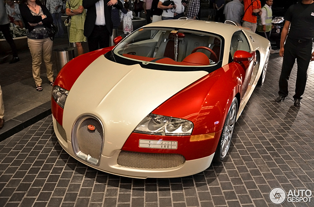 Special: de Bugatti Veyron one-offs 