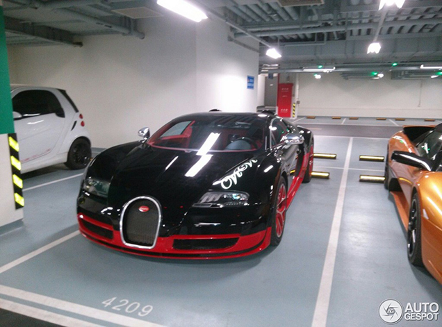 Special: de Bugatti Veyron one-offs 