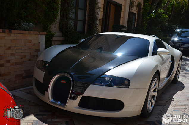 Special: de Bugatti Veyron one-offs 