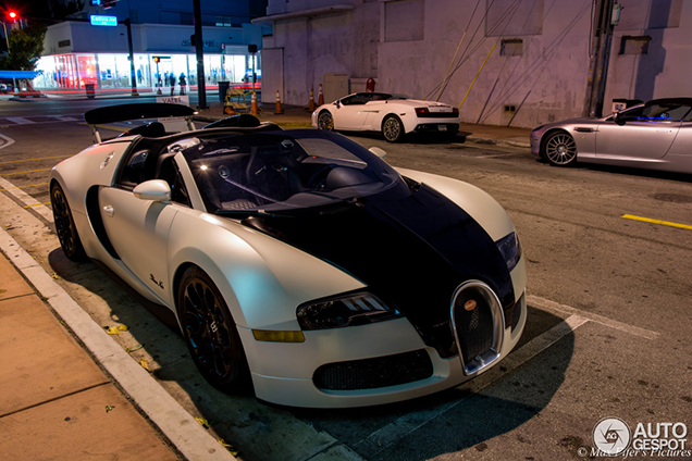 Special: de Bugatti Veyron one-offs 