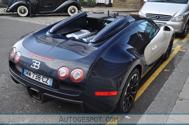 Special: de Bugatti Veyron one-offs 