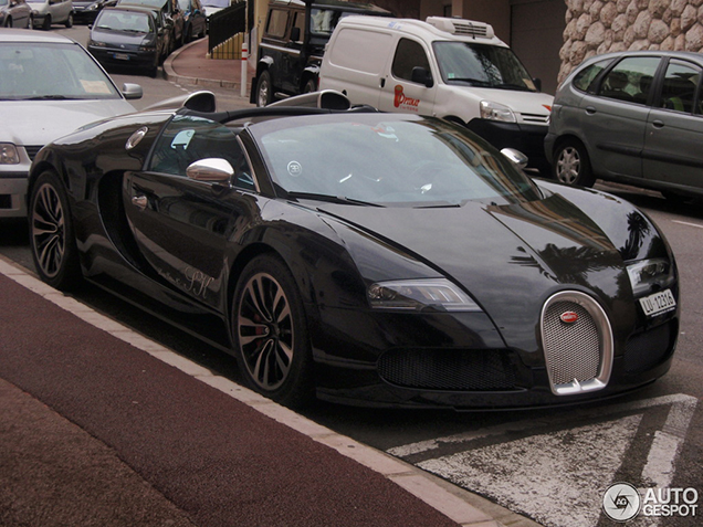 Special: de Bugatti Veyron one-offs 