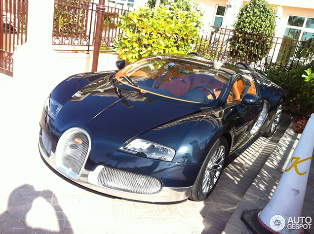 Special: de Bugatti Veyron one-offs 