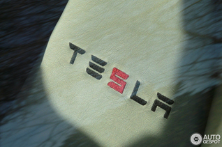 Auto's herkennen: Tesla Motors Roadster