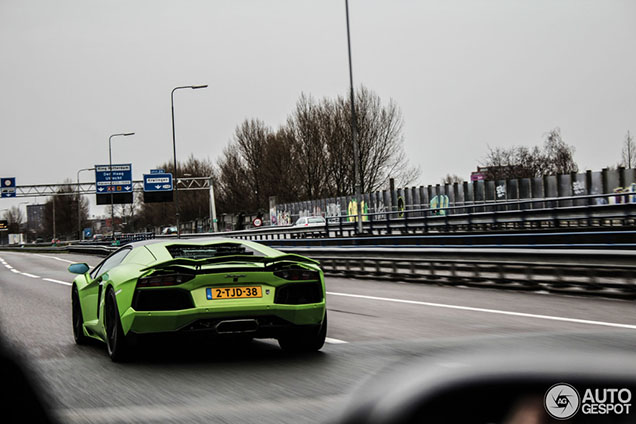 Spot van de dag: Lamborghini Aventador LP700-4