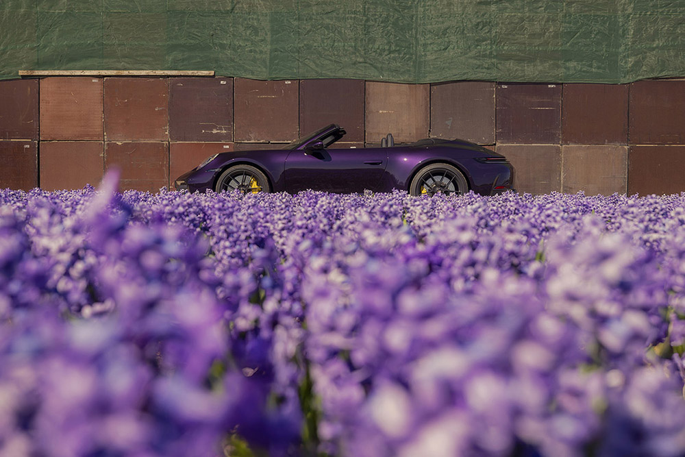 Porsche 911 GTS T-Hybrid Cabriolet meets the Dutch flower fields