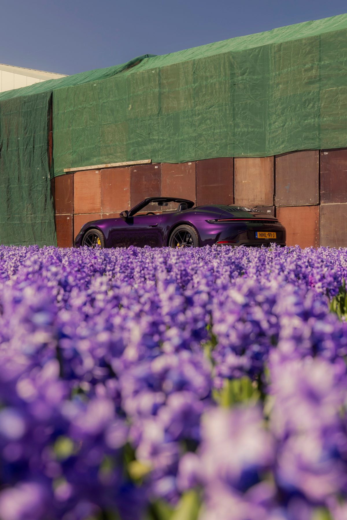 Porsche 911 GTS T-Hybrid Cabriolet meets the Dutch flower fields