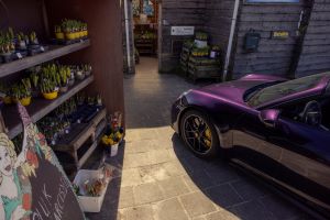 Porsche 911 GTS T-Hybrid Cabriolet meets the Dutch flower fields