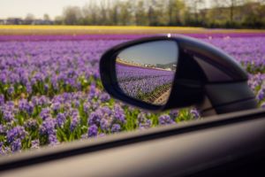 Porsche 911 GTS T-Hybrid Cabriolet meets the Dutch flower fields