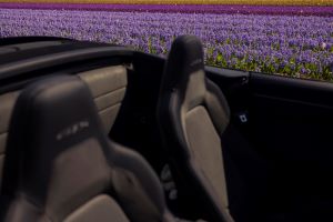 Porsche 911 GTS T-Hybrid Cabriolet meets the Dutch flower fields