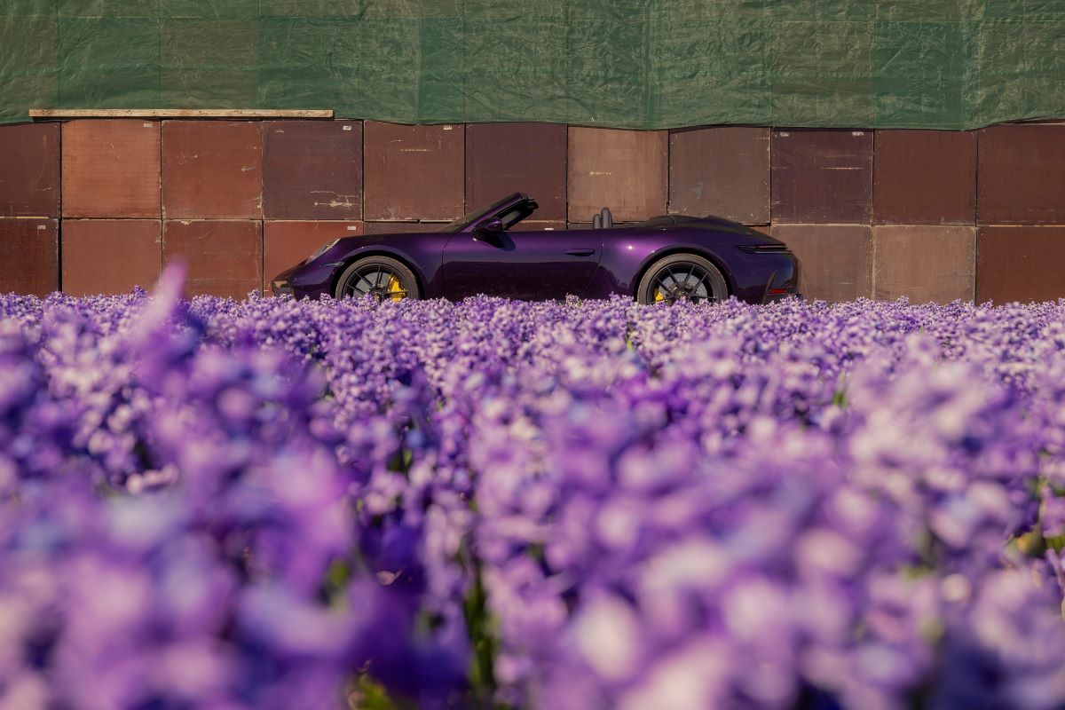 Porsche 911 GTS T-Hybrid Cabriolet meets the Dutch flower fields