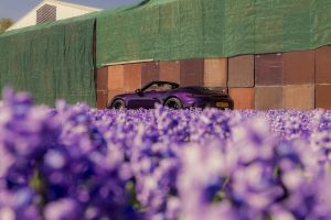 Porsche 911 GTS T-Hybrid Cabriolet meets the Dutch flower fields