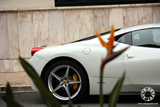 Top Marques 2011: reisverslag "het grote genieten"