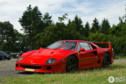 Daredevil: with your Ferrari F40 to the Nürburgring