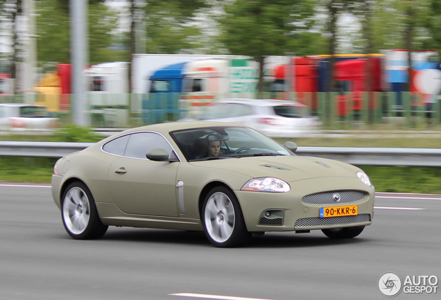 Gespot: matte kleuren deel 166