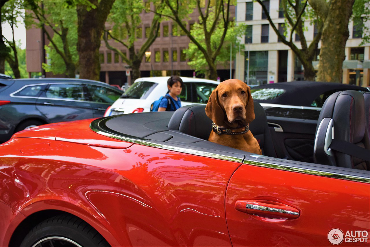 Hond speelt met zijn leven in Bentley