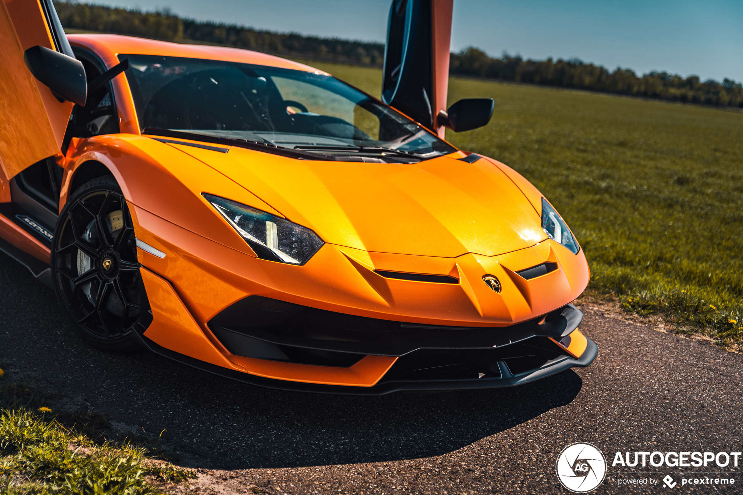 Spot van de dag: Lamborghini Aventador SVJ
