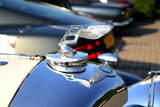 Evenement: Jeroen Bosch Rally