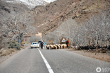 Fotoverslag: Maroc Classic 2011