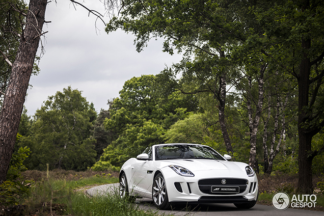 Special: eerste kennismaking met de Jaguar F-Type