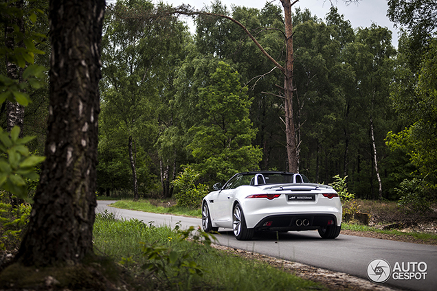 Special: our first date with the Jaguar F-Type