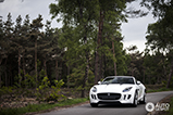 Special: our first date with the Jaguar F-Type