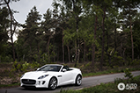 Special: our first date with the Jaguar F-Type