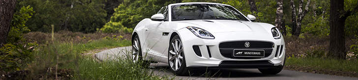 Special: our first date with the Jaguar F-Type