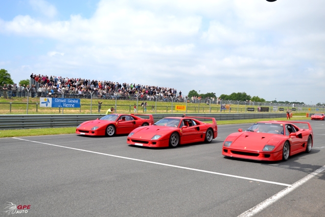 500 Ferrari's tegen kanker 2013!
