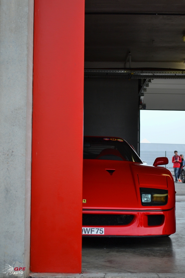 500 Ferrari's tegen kanker 2013!