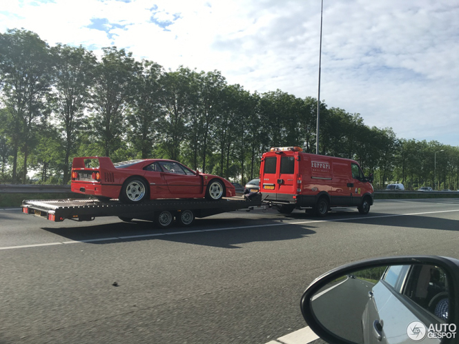 Spot van de dag: Ferrari F40