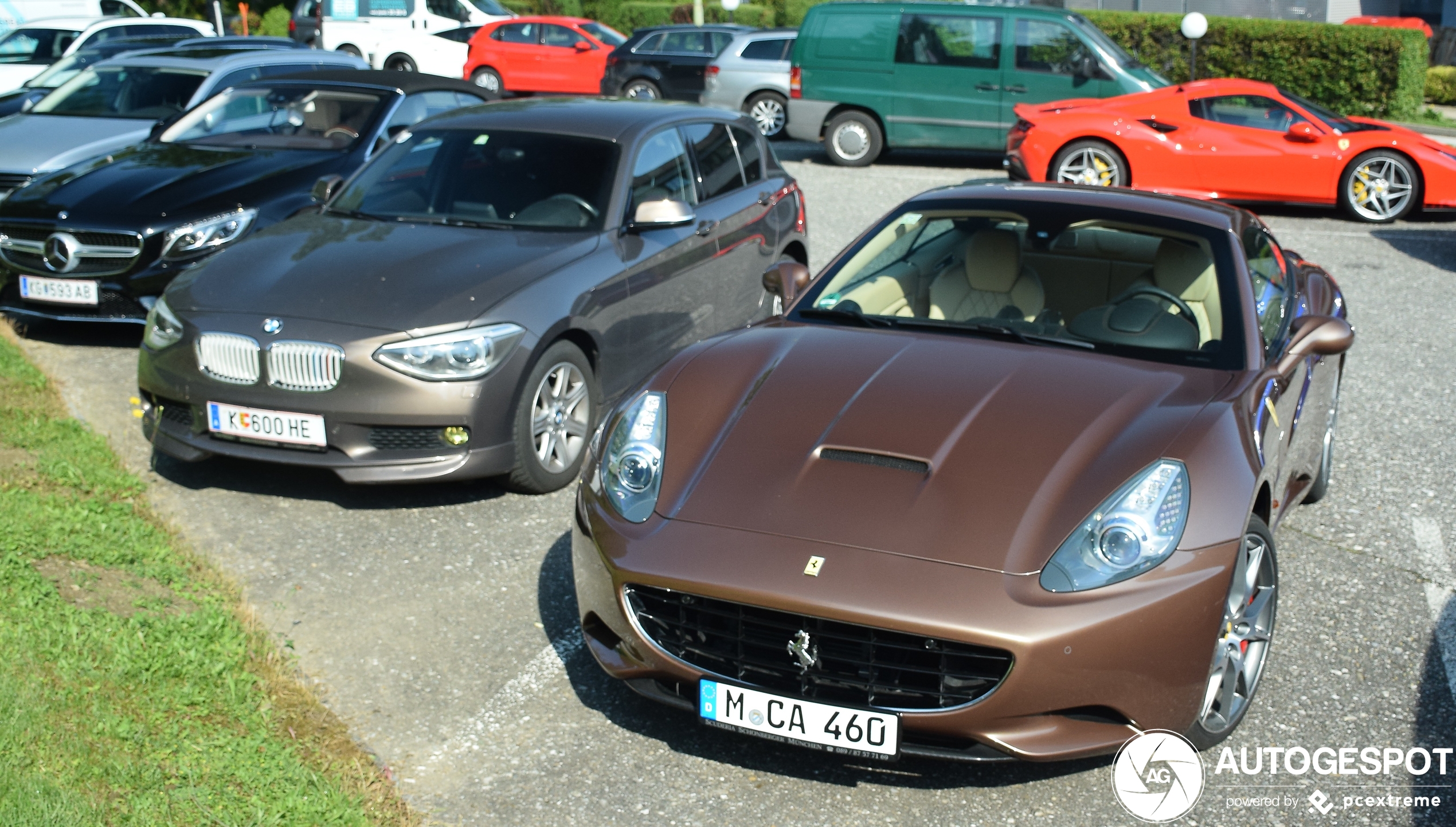 Bruin kan maar op één hedendaagse Ferrari