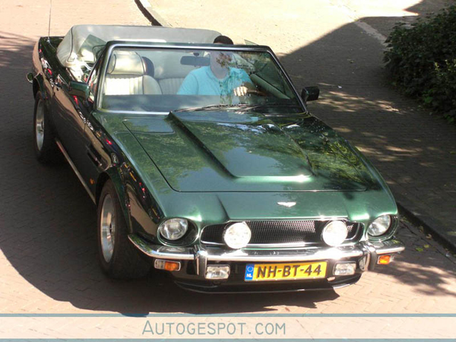 Best of.....Laren!