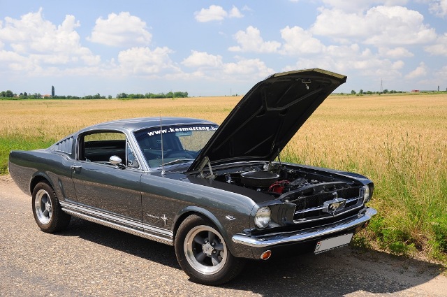 Fotoshoot: Ford Mustang