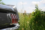 Fotoshoot: Ford Mustang