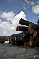 Fotoshoot: Audi RS6 Avant