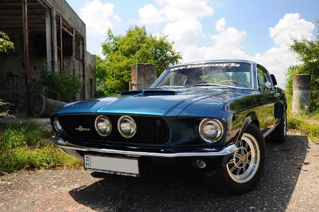 Fotoshoot: Shelby GT350 replica