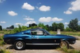 Fotoshoot: Shelby GT350 replica